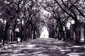 Кладбище в Chacarita,	Buenos Aires